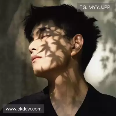 韦飚将