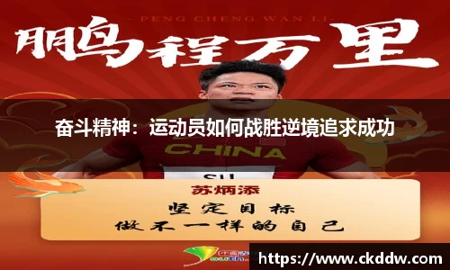 星空综合中国官方网站