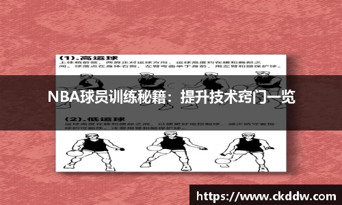 星空综合股份(中国)